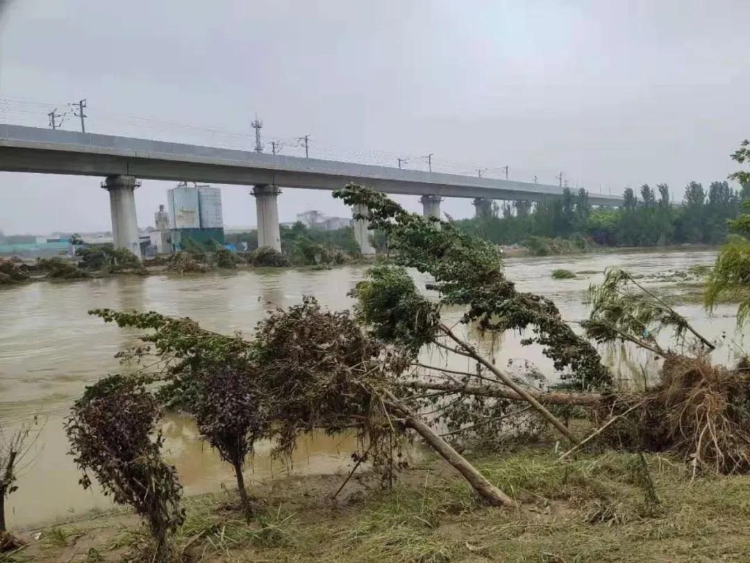 长葛湿地公园最新动态