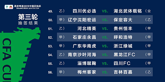 新澳2024今晚开奖资料四不像｜2024年澳门最新信息_专家解读解答解释指南