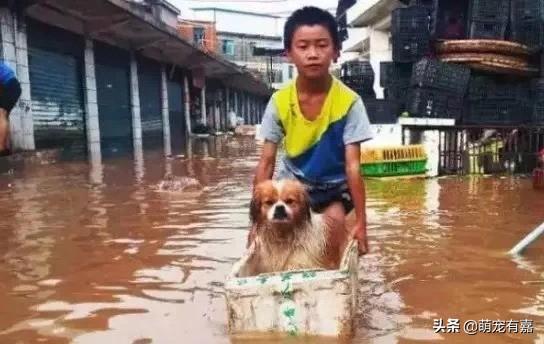 “台风十九号最新动态，风雨同舟，共筑平安防线”