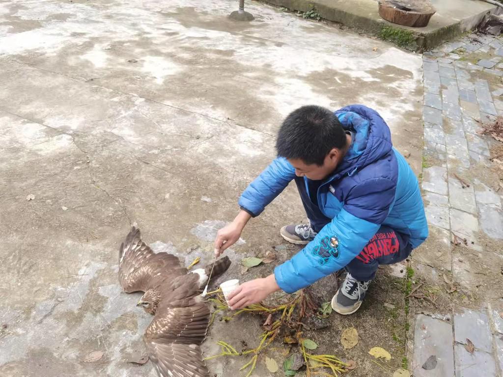 畅享飞翔之旅——广元机场航班信息新鲜速递