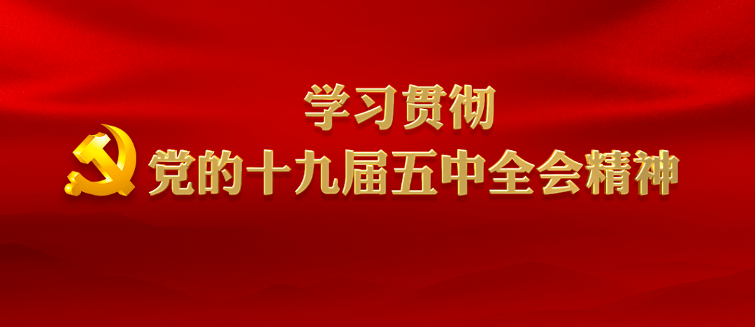 石时代喜讯连连，新篇章精彩绽放