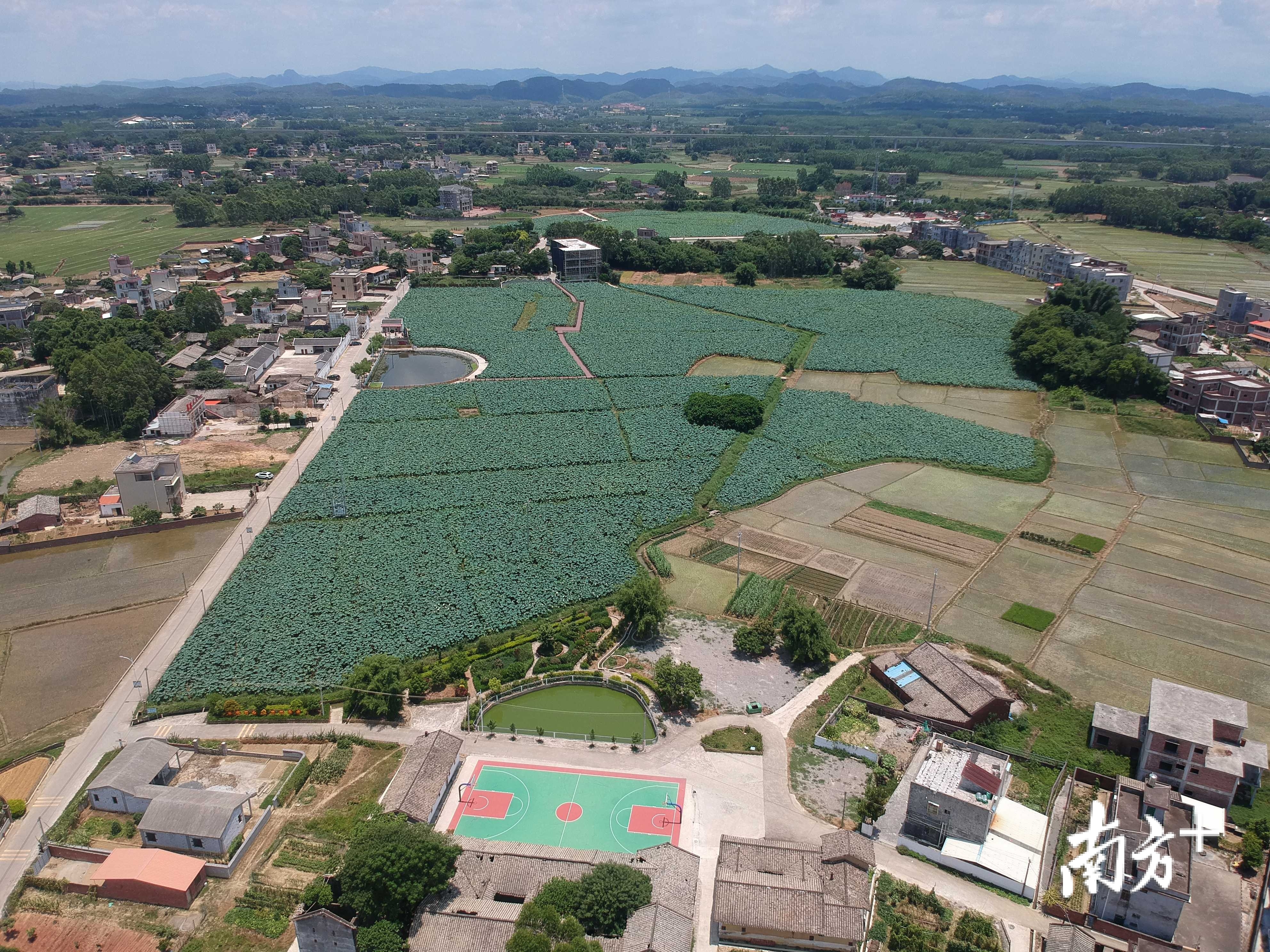 惠州湖山村喜获土地增值新机遇