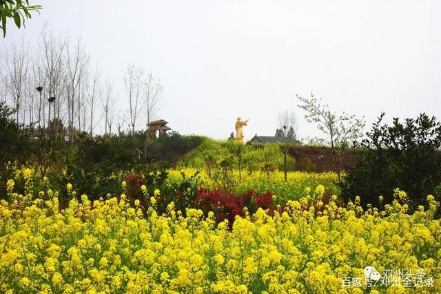 邓州金川春日胜景，最新赏鉴指南新鲜出炉